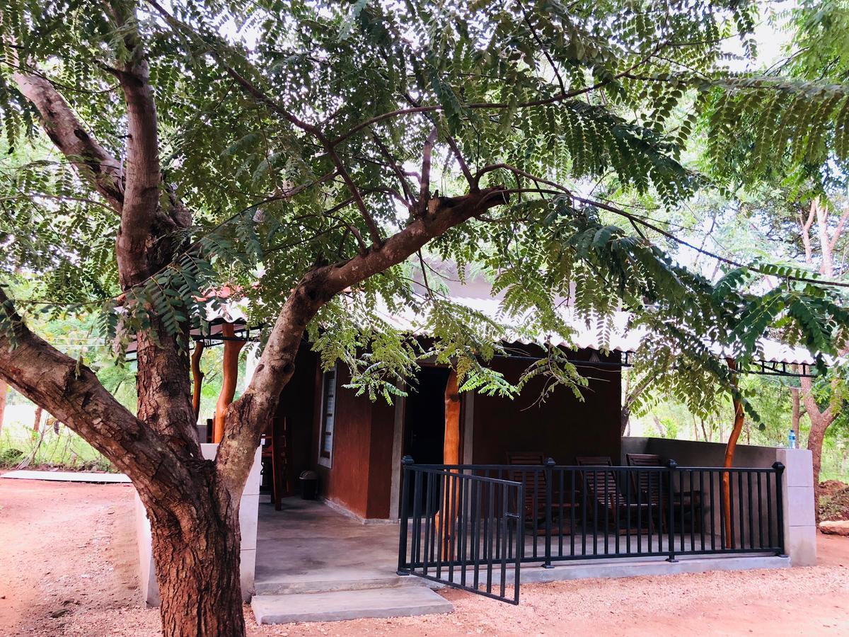 The Summer Corridor - Kataragama Bagian luar foto