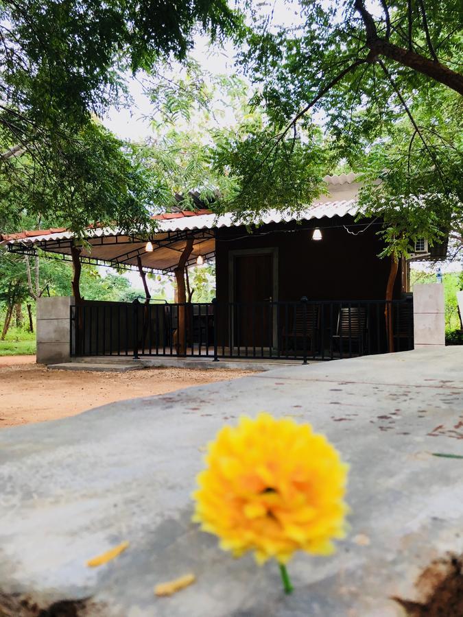The Summer Corridor - Kataragama Bagian luar foto