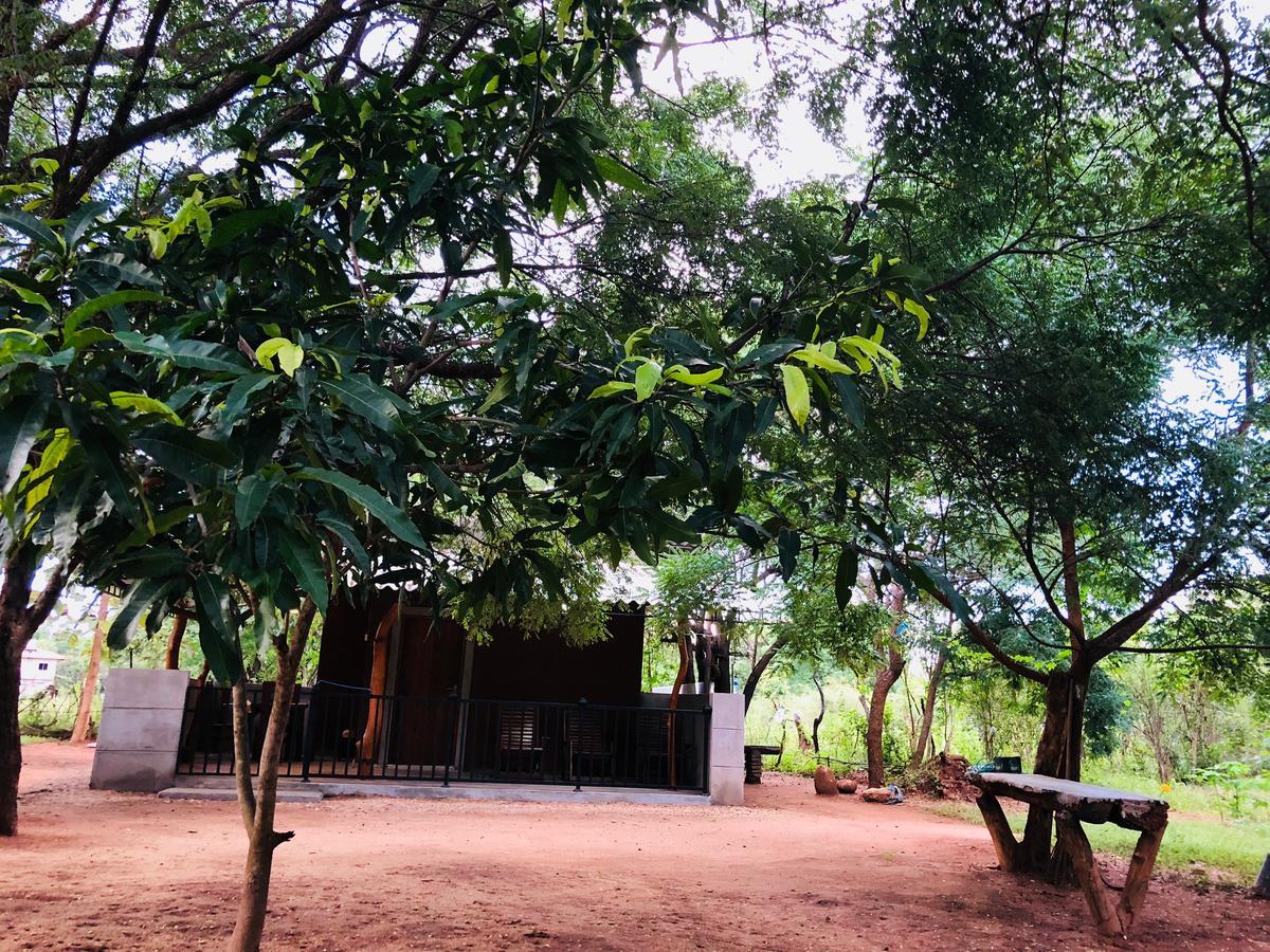 The Summer Corridor - Kataragama Bagian luar foto